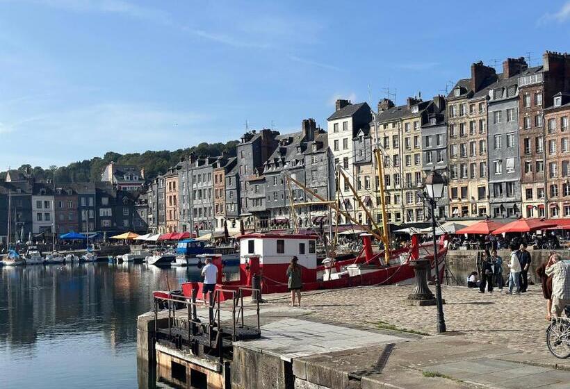 Appartement Les Hirondelles