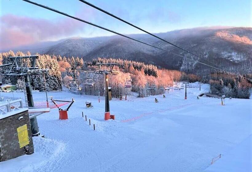 펜션 Ubytování U Janičky