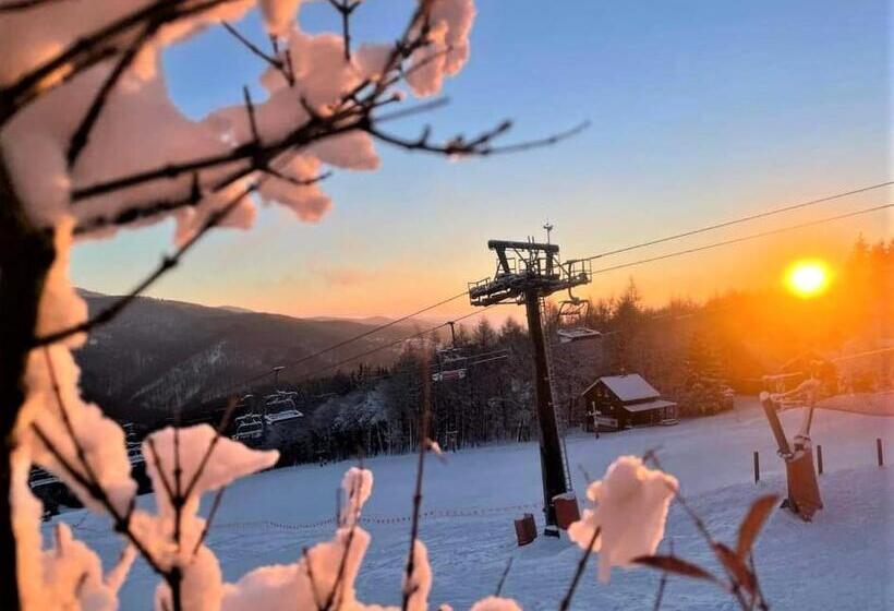 펜션 Ubytování U Janičky