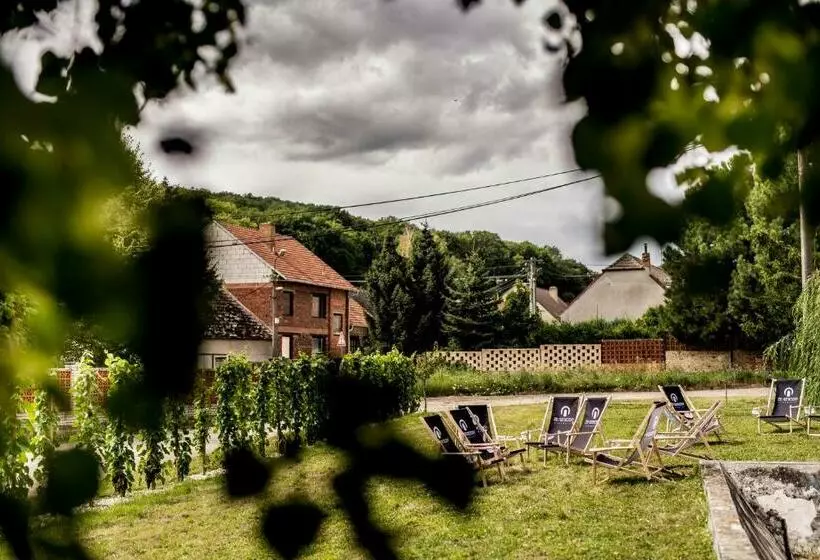 ユースホステル Ubytování Ve Vinařství Zd Němčičky