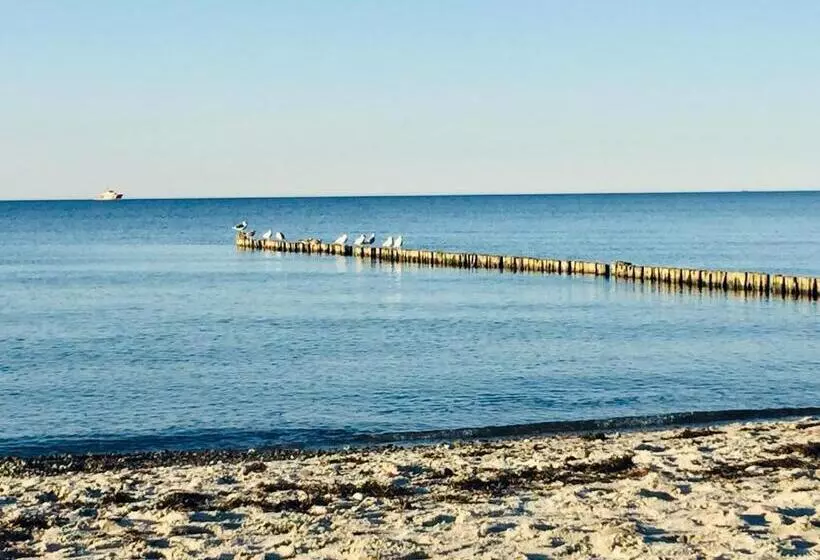 Aparthotel Waterkant Suites   Fewos Am Meer Mit Spa