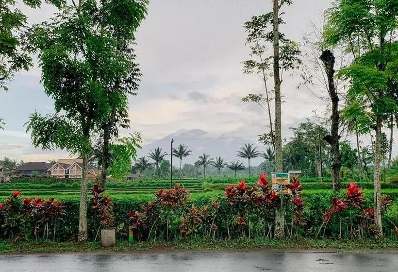 ホテル Lesehan Cahaya Tetebatu Inn Syariah At Desa Wisata