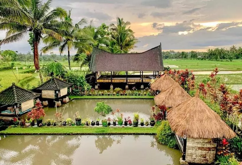 ホテル Lesehan Cahaya Tetebatu Inn Syariah At Desa Wisata