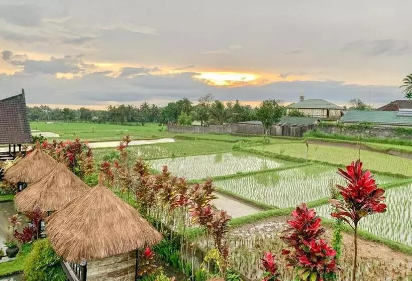 ホテル Lesehan Cahaya Tetebatu Inn Syariah At Desa Wisata