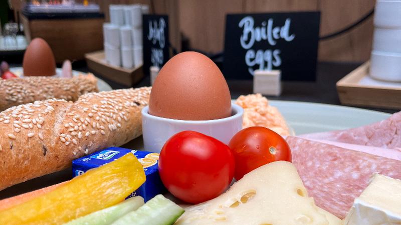 Jimmy S Apartments Dandelion