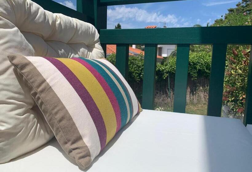 Magnifique Villa Biarritz , Jardin Et Terrasse