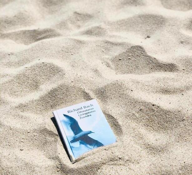 پانسیون Poilsio Namai žuvėdra