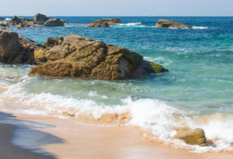 Appartement Au Coeur Des Pins, Plage à 400 Mètres