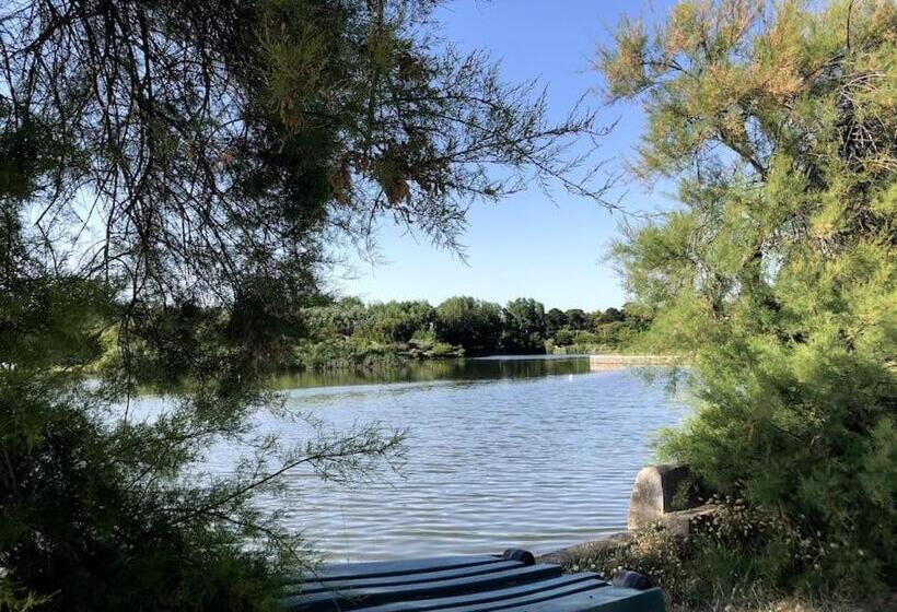Appartement Au Coeur Des Pins, Plage à 400 Mètres