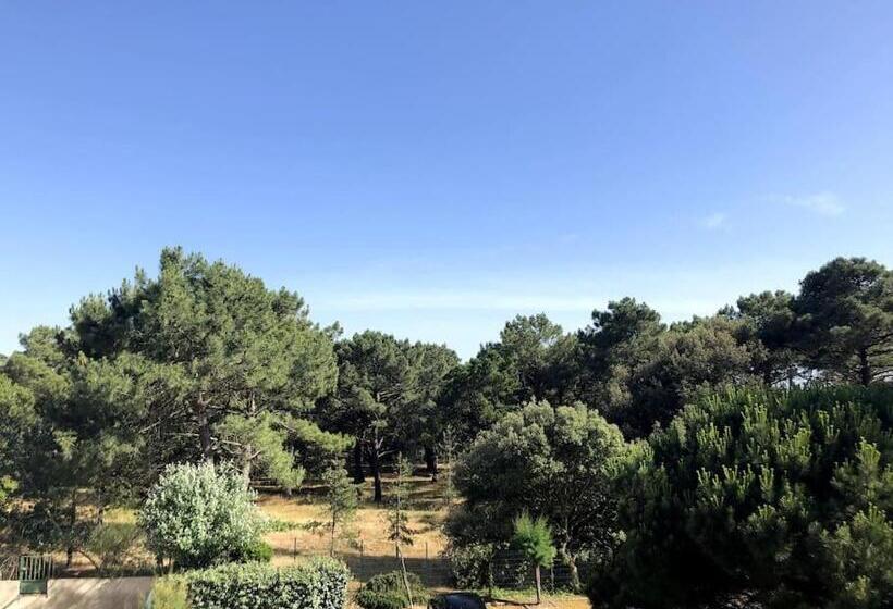 Appartement Au Coeur Des Pins, Plage à 400 Mètres