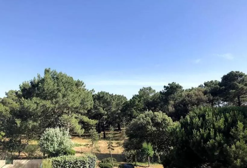 Appartement Au Coeur Des Pins, Plage à 400 Mètres