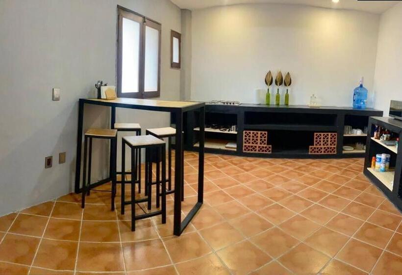 Casa Ceiba/dpto. Entero Cerca Del Centro Histórico