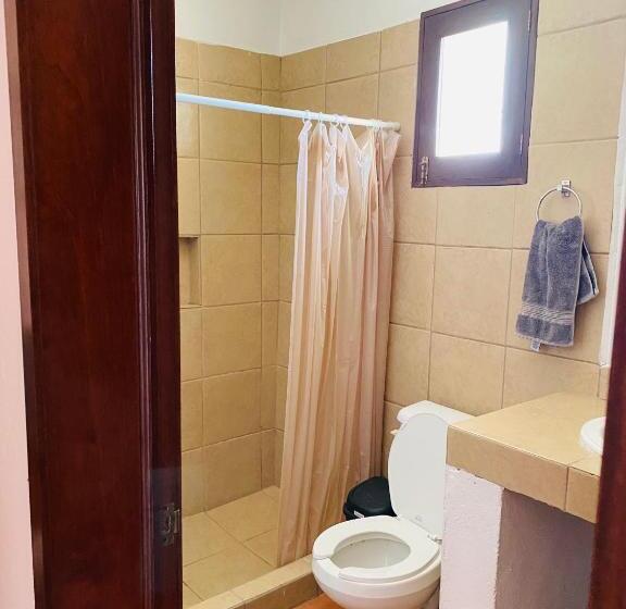 Casa Ceiba/dpto. Entero Cerca Del Centro Histórico