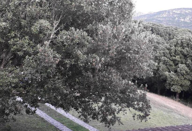 فندق Agriturismo La Tuva