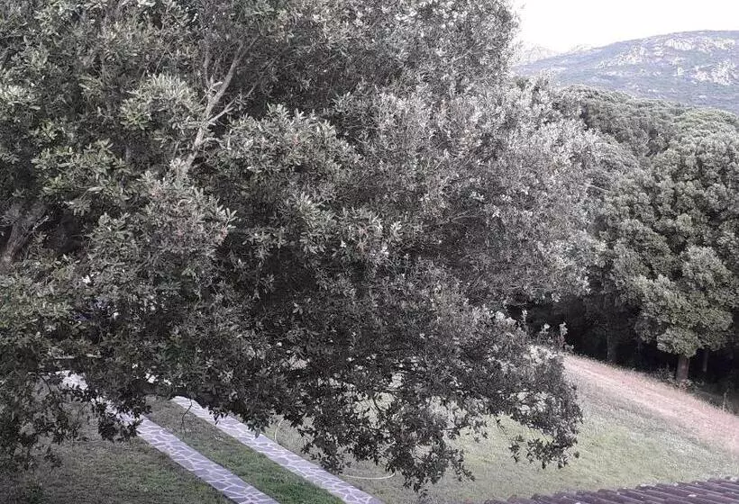 ホテル Agriturismo La Tuva