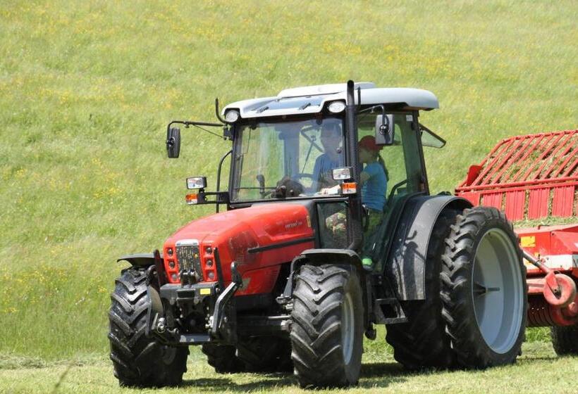 فندق Biohof Bernhard