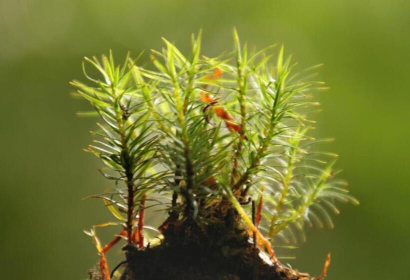 فندق Biohof Bernhard