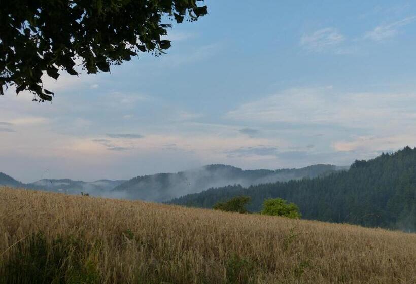 فندق Biohof Bernhard