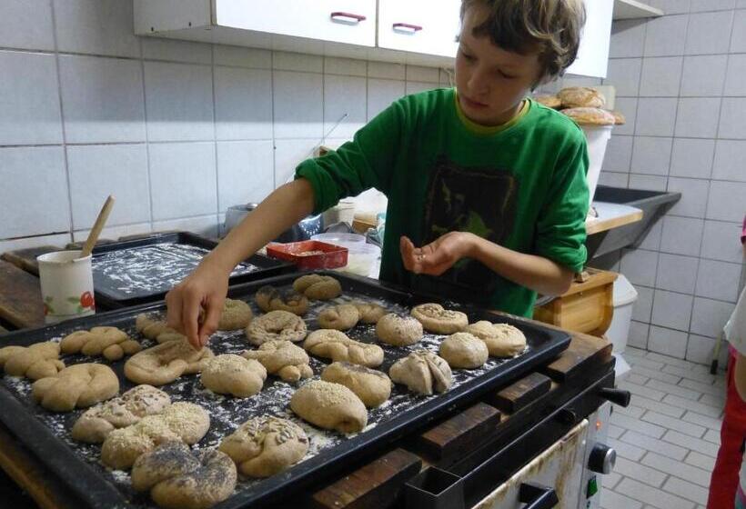 فندق Biohof Bernhard