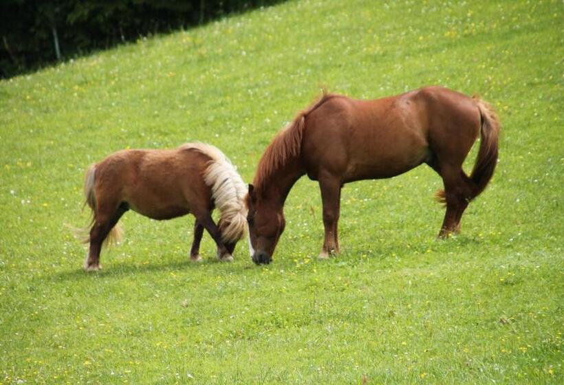 فندق Biohof Bernhard