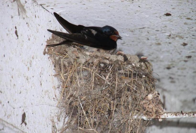 فندق Biohof Bernhard