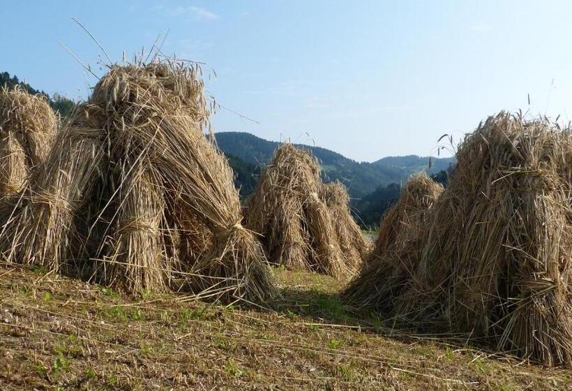 فندق Biohof Bernhard