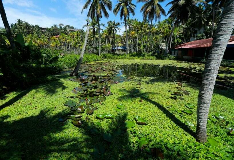 בית מלון כפרי Coco Beach Resort