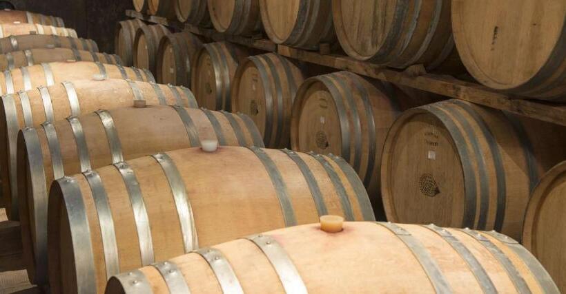 Otel Fattoria Di Rignana Winery Bnb