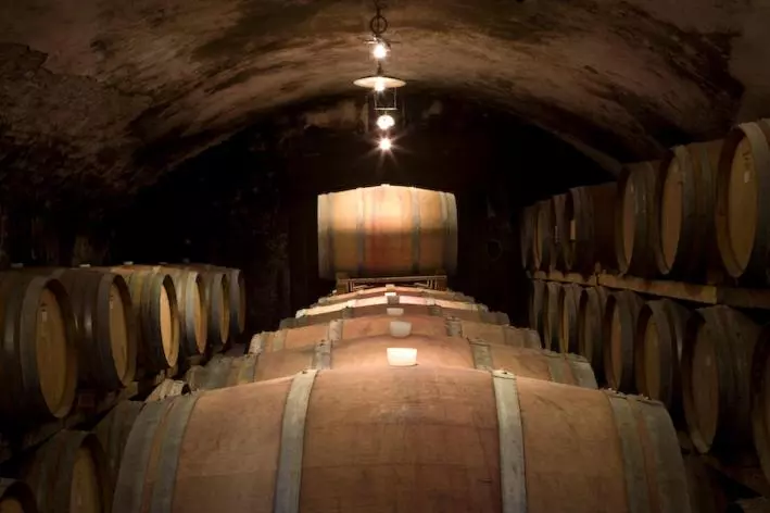 ホテル Fattoria Di Rignana Winery Bnb