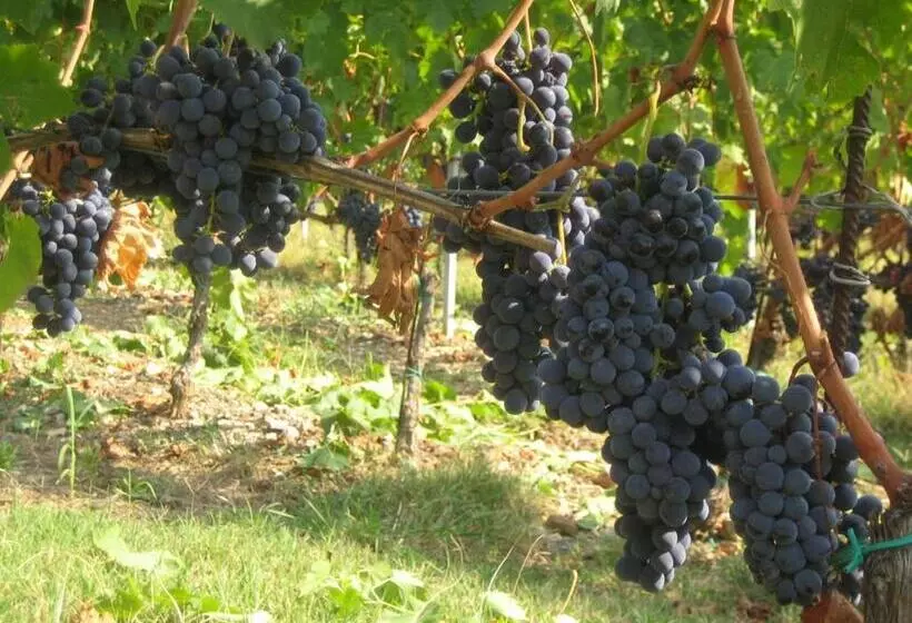 ホテル Fattoria Di Rignana Winery Bnb