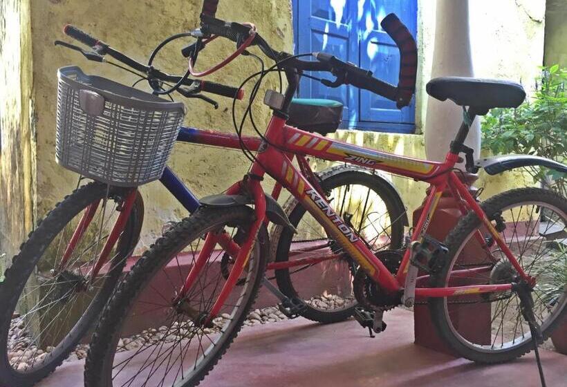 פנסיון Silvas Surf Home