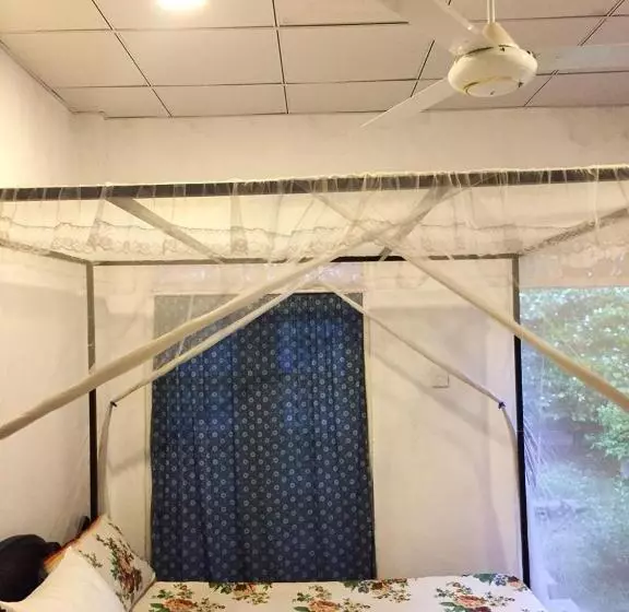 پانسیون Silvas Surf Home