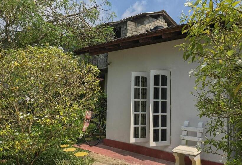 פנסיון Silvas Surf Home