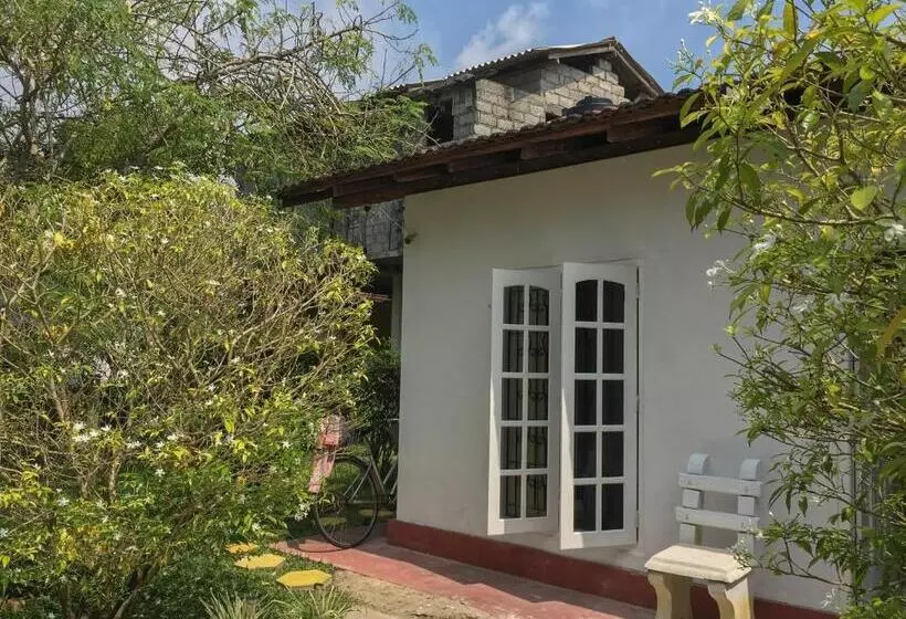 پانسیون Silvas Surf Home