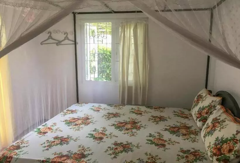 پانسیون Silvas Surf Home