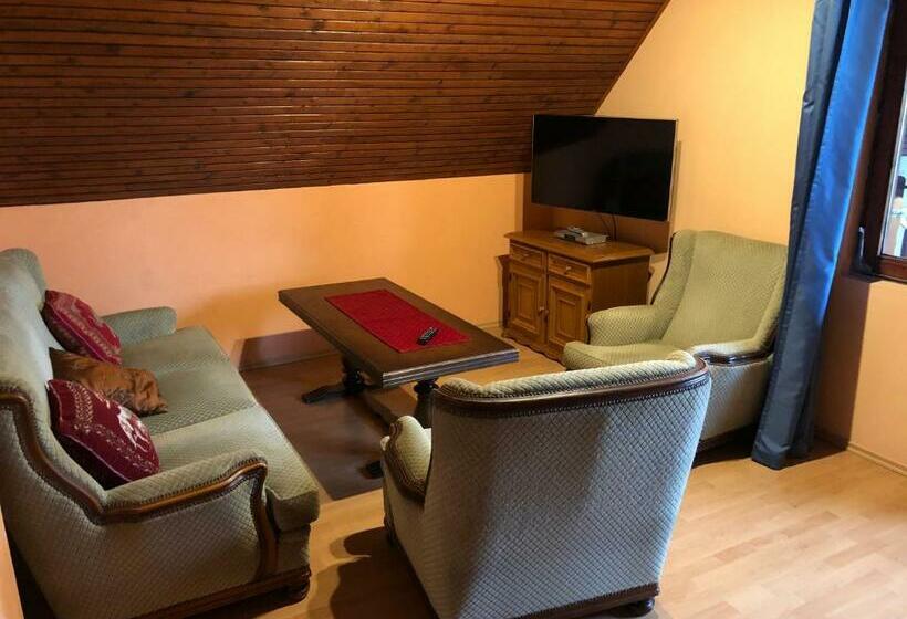 膳宿费 Valentin Vendégház