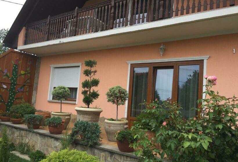 膳宿费 Valentin Vendégház