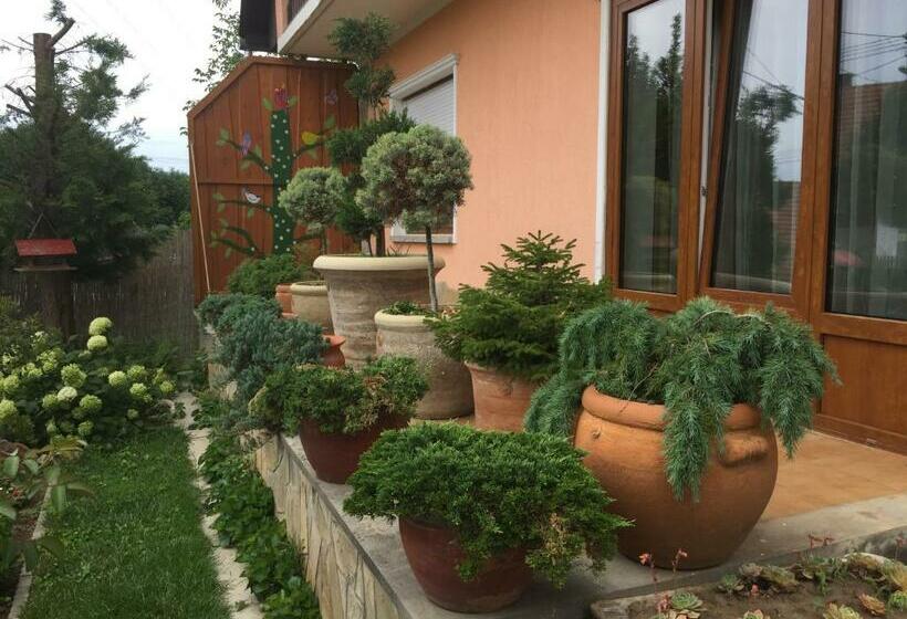 膳宿费 Valentin Vendégház