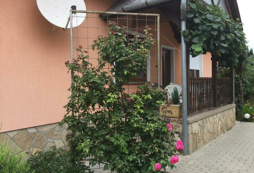 膳宿费 Valentin Vendégház