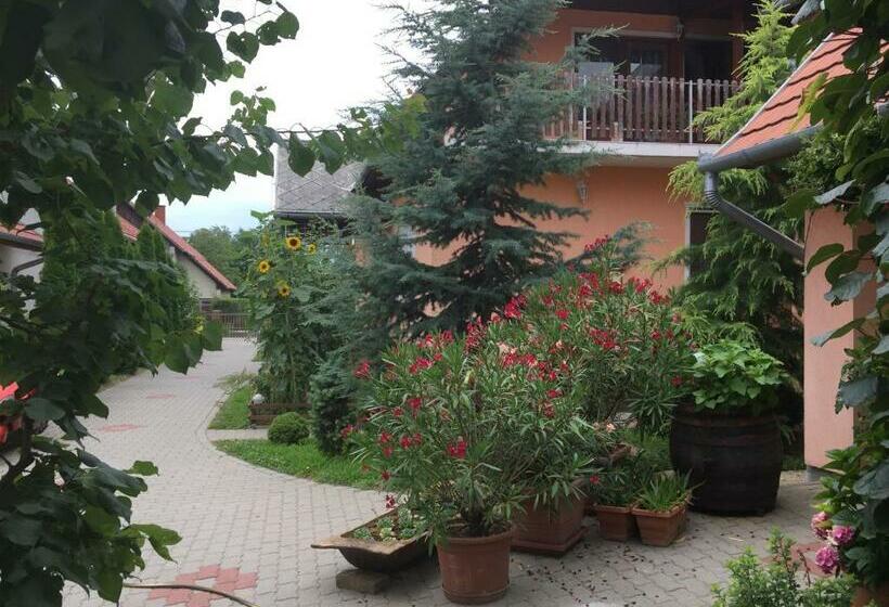 膳宿费 Valentin Vendégház