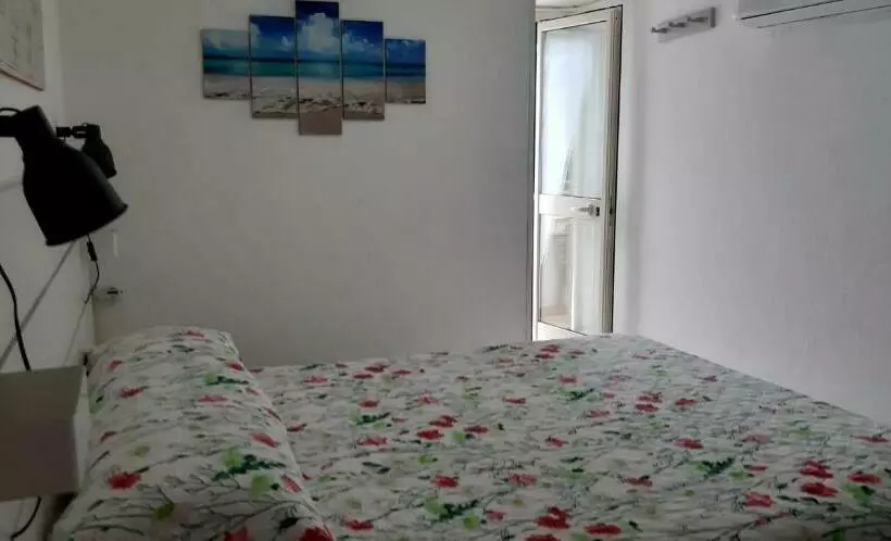 Phiniscollis B&b