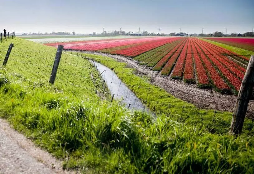 Ecohome Veer   Zeezand Recreatie