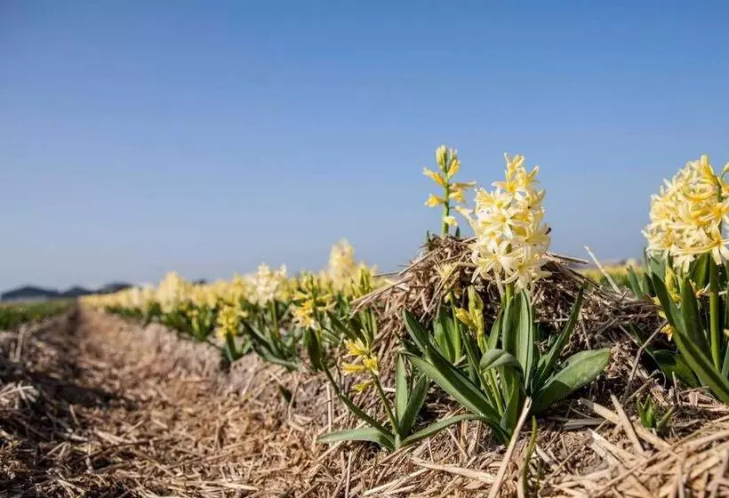 Ecohome Veer   Zeezand Recreatie