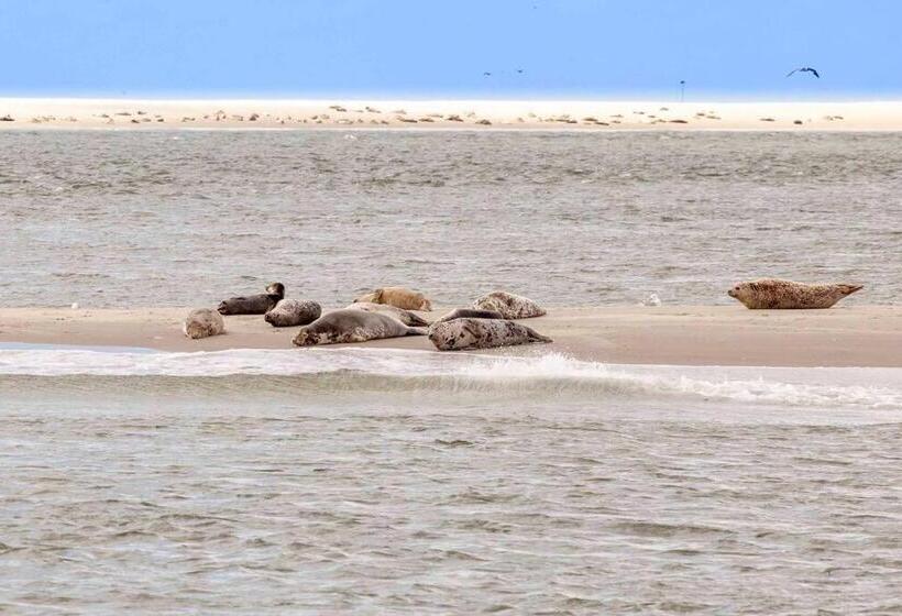 Ecohome Veer   Zeezand Recreatie