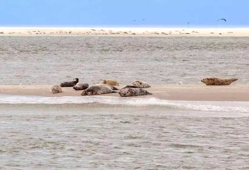 Ecohome Veer   Zeezand Recreatie