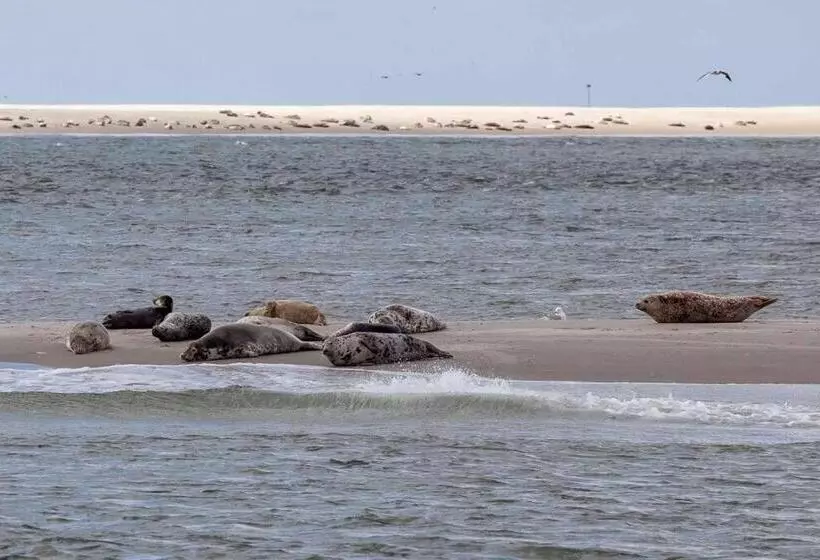 Ecohome Veer   Zeezand Recreatie