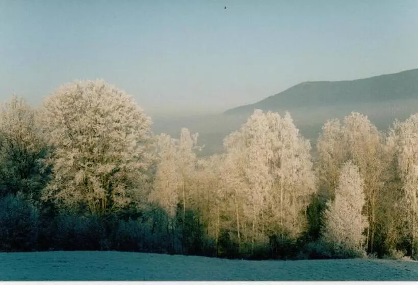 Ferienwohnung Meindl