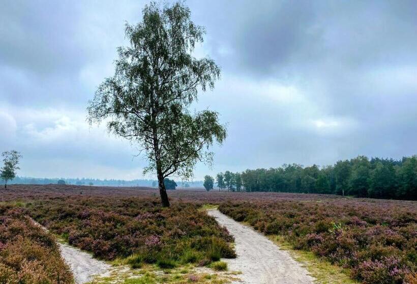Huisje Aan De Bosrand Veluwe