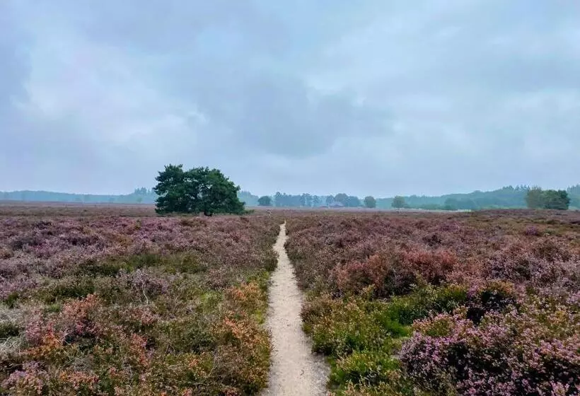 Huisje Aan De Bosrand   Veluwe