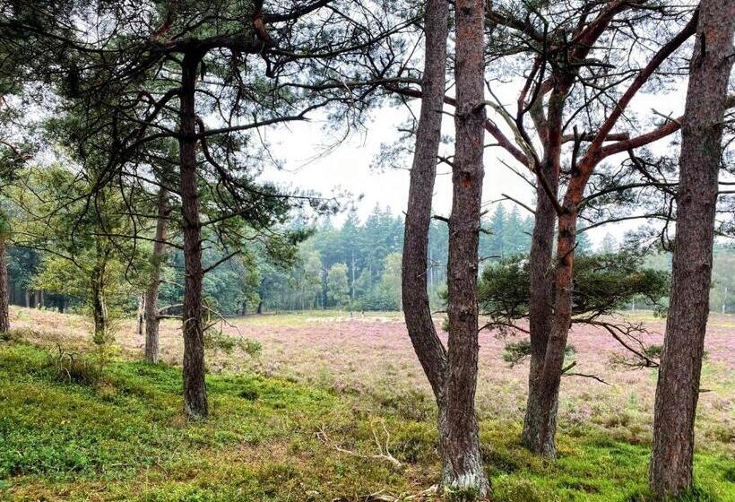 Huisje Aan De Bosrand Veluwe